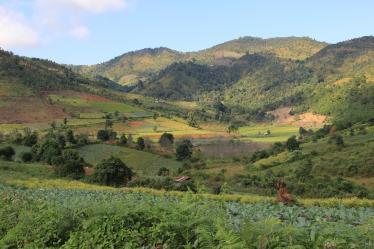 2015 11 Burma (618) - Kalaw