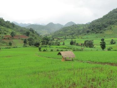Kalaw Trekking