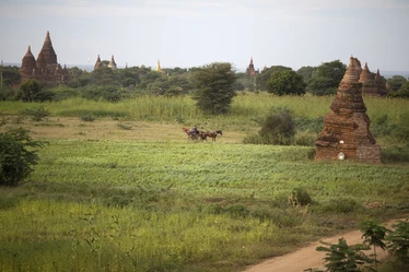 Bagan10