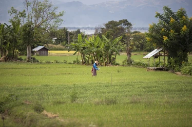 Inle19