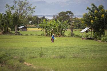 Inle19