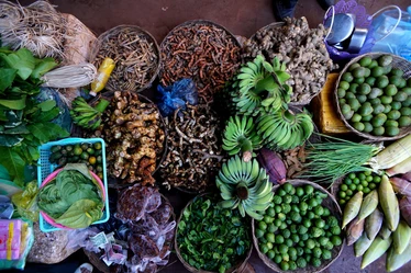 Street food pics from Hanuman