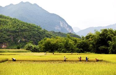 Mai_Chau_-_Landscape_and_people_IMG_7652