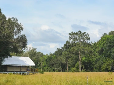 Cardamom Tented Camp