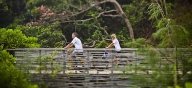 Cycling in Hue