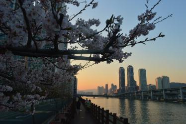 busan Marine City