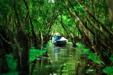 tra su forest vietnam boat on water