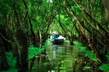 tra su forest vietnam boat on water