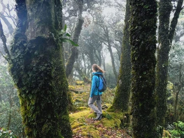 Trekking the Phou Louey Summit