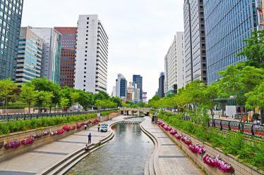 Cheonggycheon-Stream-2