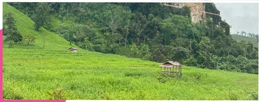 Blog-1