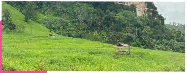 Blog-1