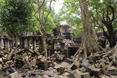 Siem Reap Province - Beng Mealea_5783